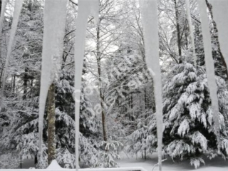 White on white